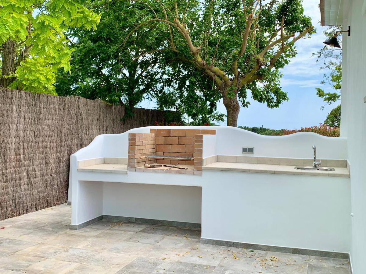 Villa Nature Con Piscina Privada - Wifi -Ac - Bbq 布拉内斯 外观 照片